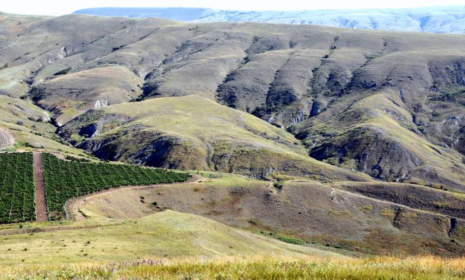 Підгірне з panoramio.com - Підгірне