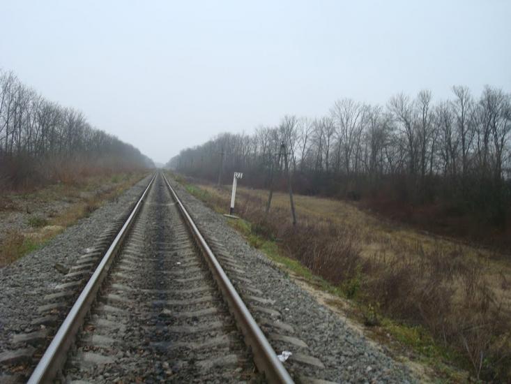 Лошківці з panoramio.com - Лошковцы