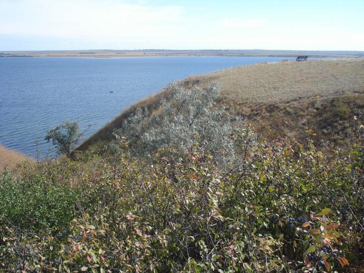 Пшонянове з panoramio.com - Пшонянове