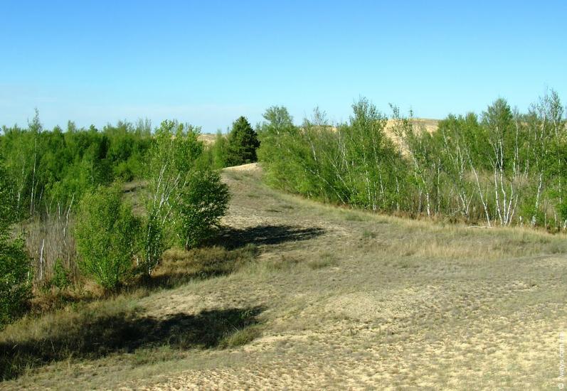 Подо-Калинівка з panoramio.com - Podo-Kalynivka