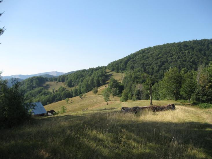 Красна з panoramio.com - Красна