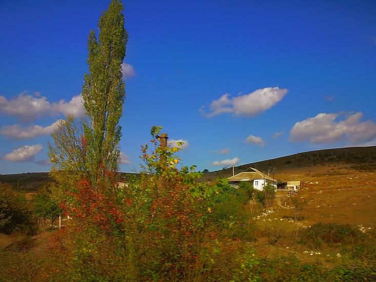 Рєпіне з panoramio.com - Рєпіне