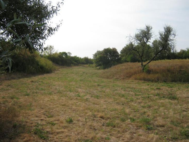 Петровеньки з panoramio.com - Петровеньки