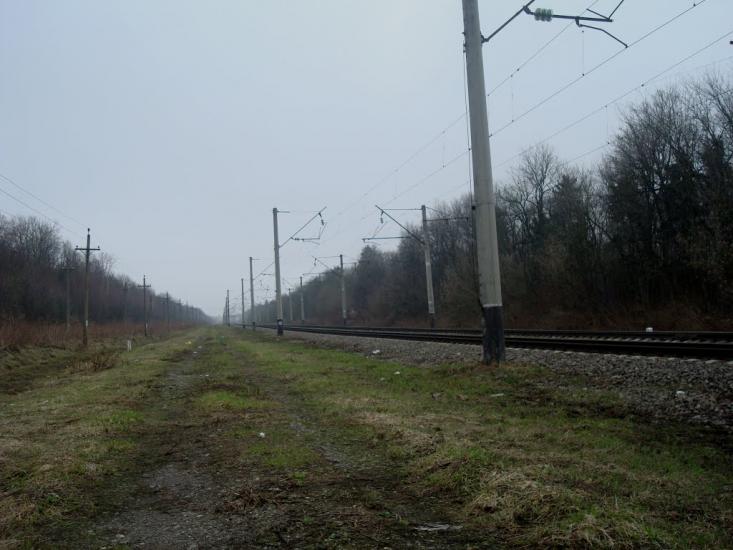 Васютинці з panoramio.com - Васютинці