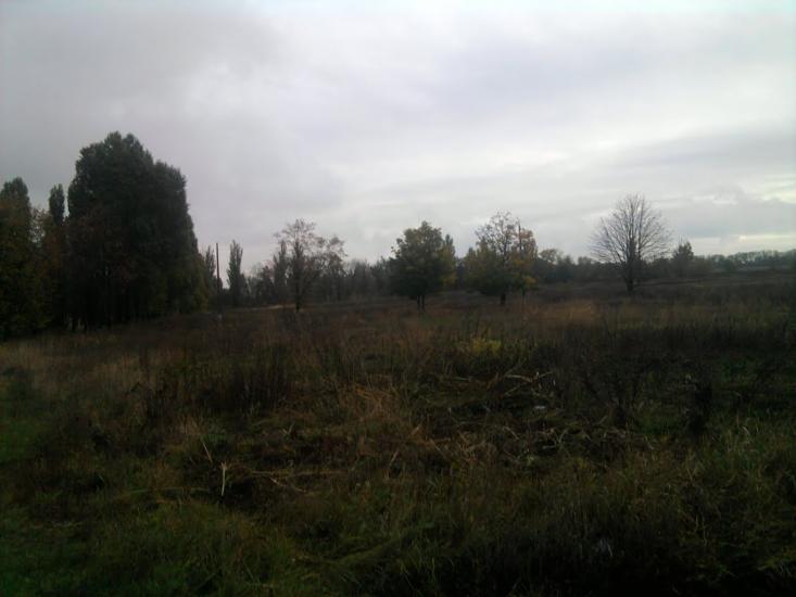 Сєверне з panoramio.com - Syeverne