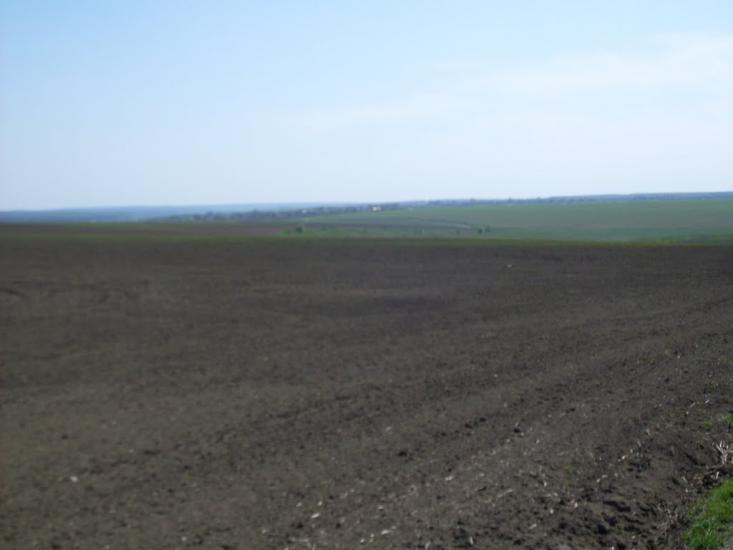 Куна з panoramio.com - Kuna