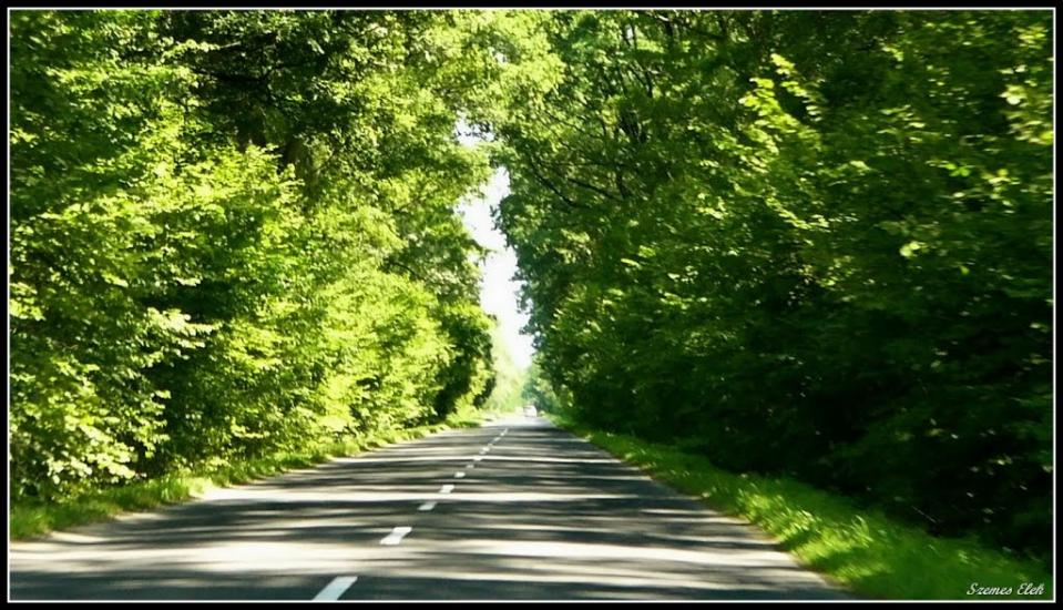 Бадалово з panoramio.com - Бадалово