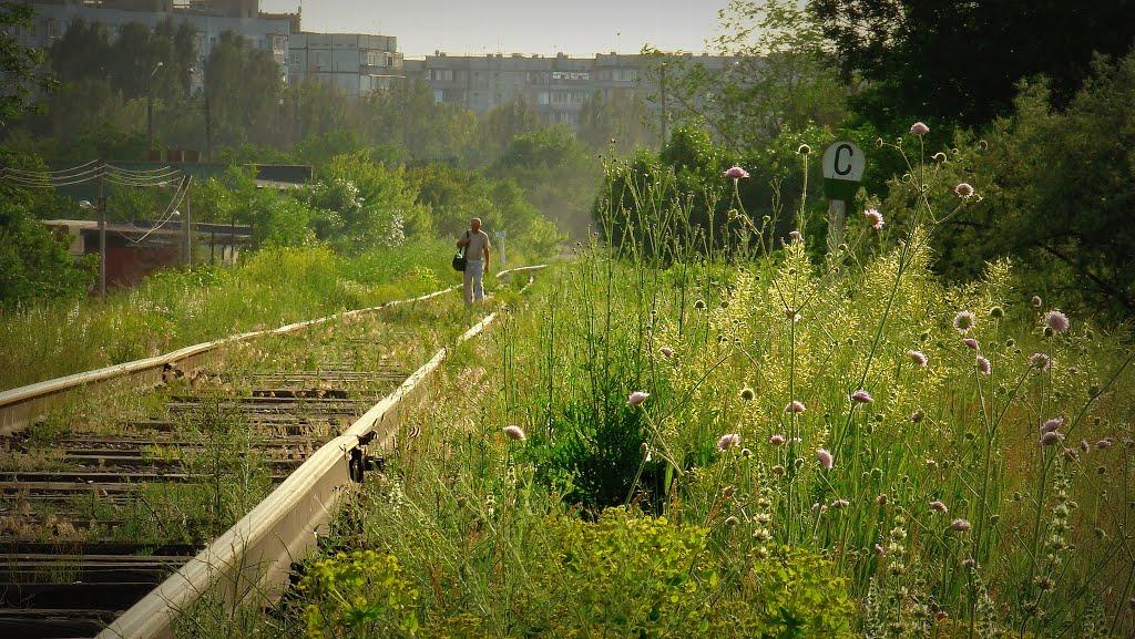 Дніпрельстан з panoramio.com - Dniprelstan