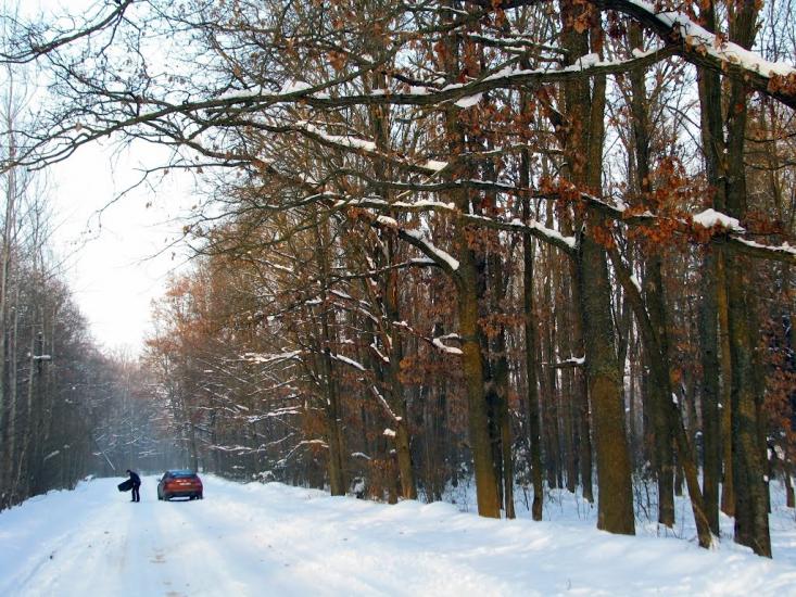 Волиця з panoramio.com - Волица