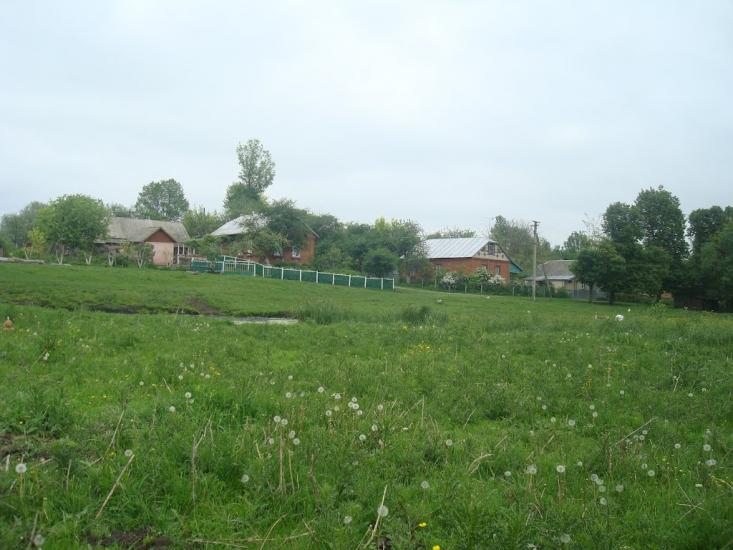 Малашівці з panoramio.com - Малашевцы