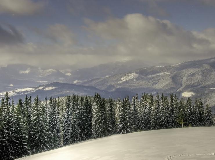 Стебний з panoramio.com - Стебний