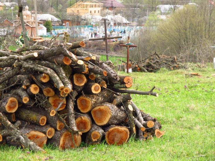 Маркова з panoramio.com - Markova