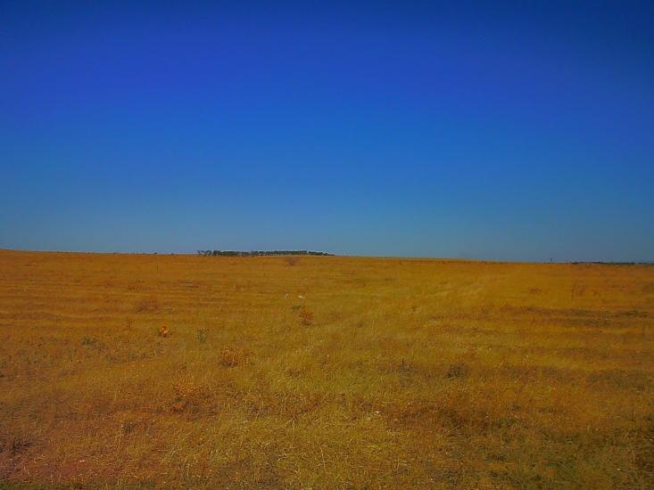 Берегове з panoramio.com - Берегово