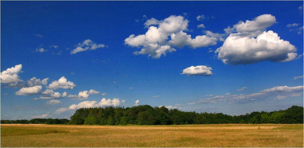 Бистрі з panoramio.com - Быстри