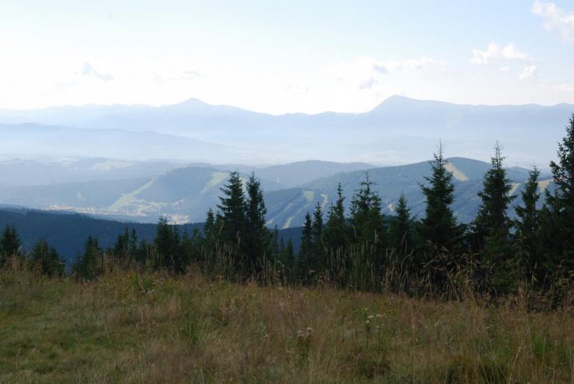 Черник з panoramio.com - Черник
