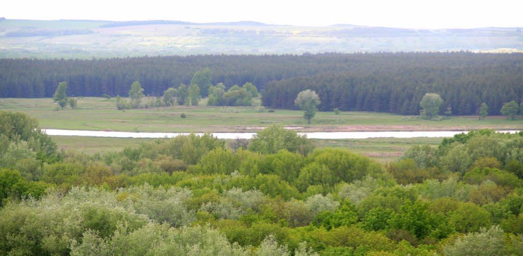 Донецьке з panoramio.com - Donetske