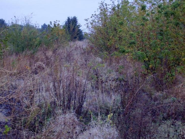 Фрунзе з panoramio.com - Фрунзе
