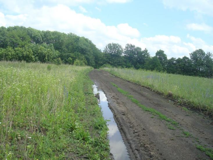 Грузевиця з panoramio.com - Грузевица