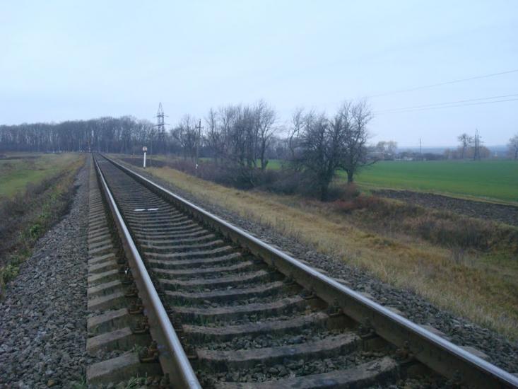 Радісне з panoramio.com - Радостное