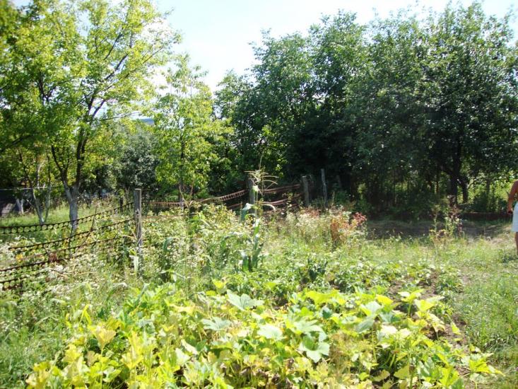 Руські Тишки з panoramio.com - Руські Тишки