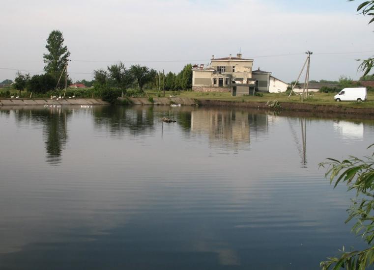 Стрільче з panoramio.com - Стрельче