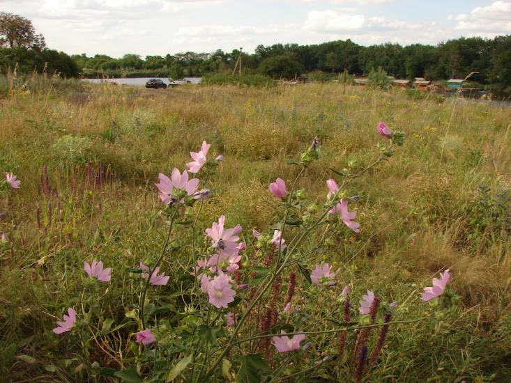 Водянське з panoramio.com - Водянське