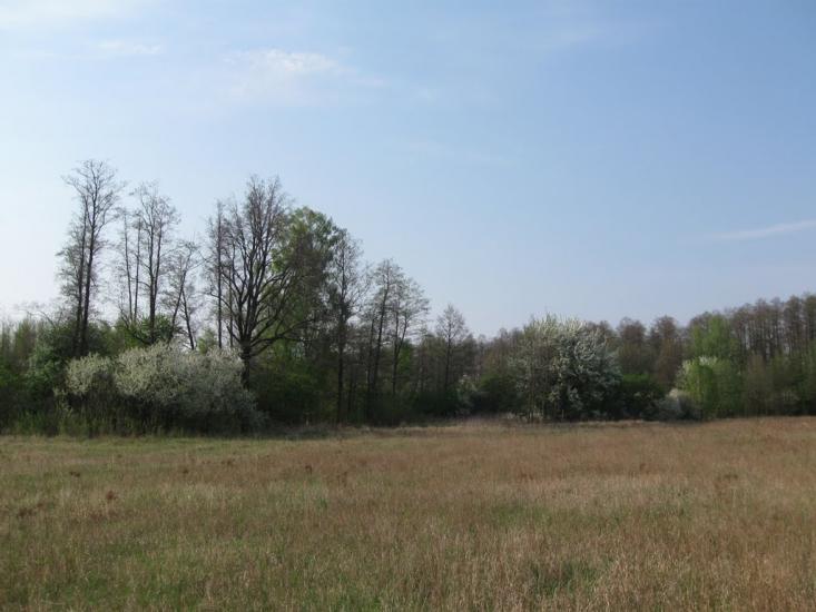 Ясногородка з panoramio.com - Ясногородка