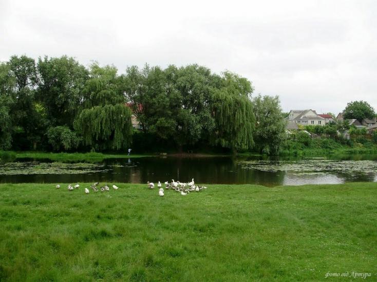 Федорівка з panoramio.com - Федоровка