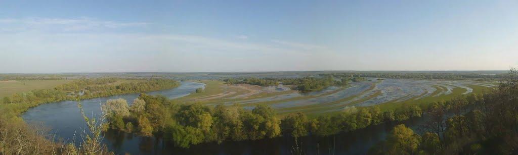 Араповичи з panoramio.com - Араповичи