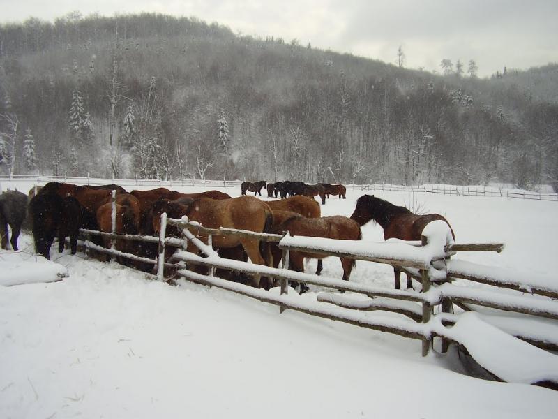 Кічерний з panoramio.com - Кичерный