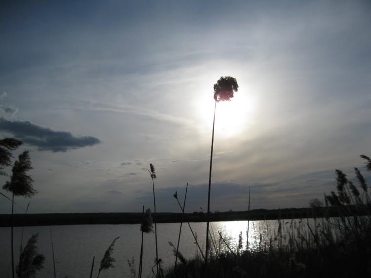 Вільхове з panoramio.com - Вільхове
