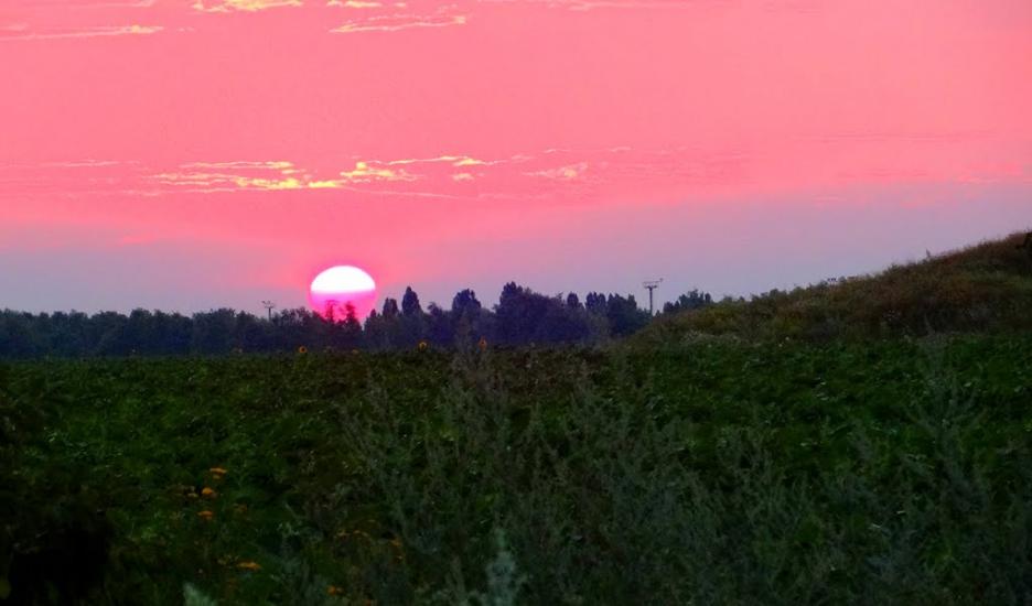 Новозванівка з panoramio.com - Novozvanivka