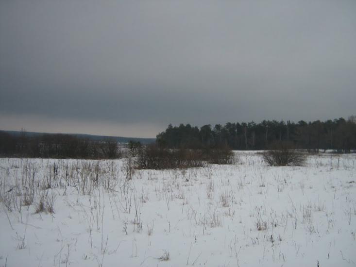Колісники з panoramio.com - Колісники