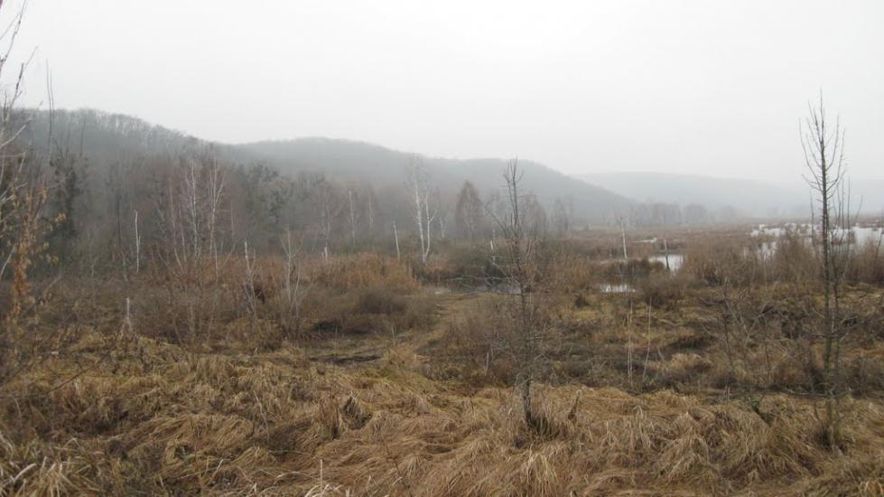 Старосілля з panoramio.com - Starosillya