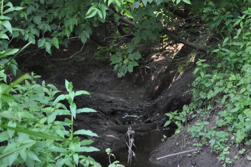 Лабурівка з panoramio.com - Лабуревка