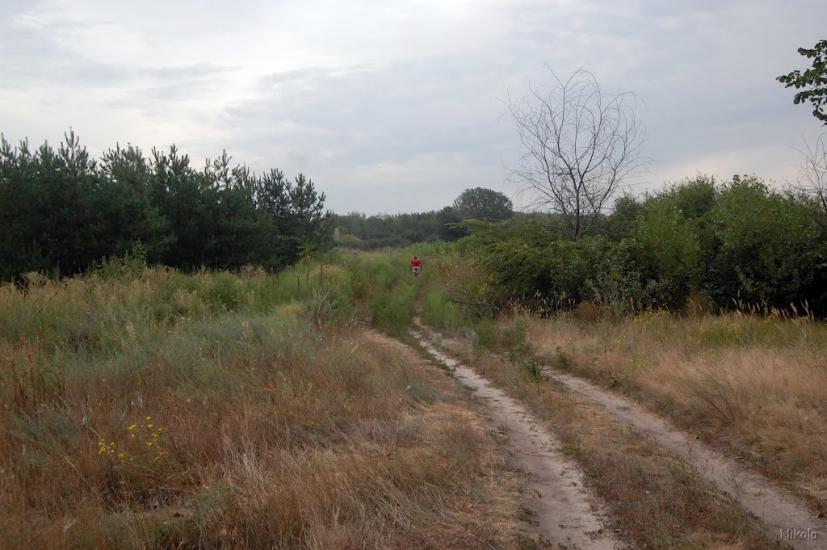 Нижнє з panoramio.com - Nyzhnye