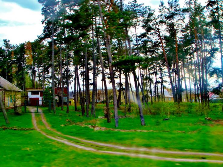 Тараща з panoramio.com - Тараща