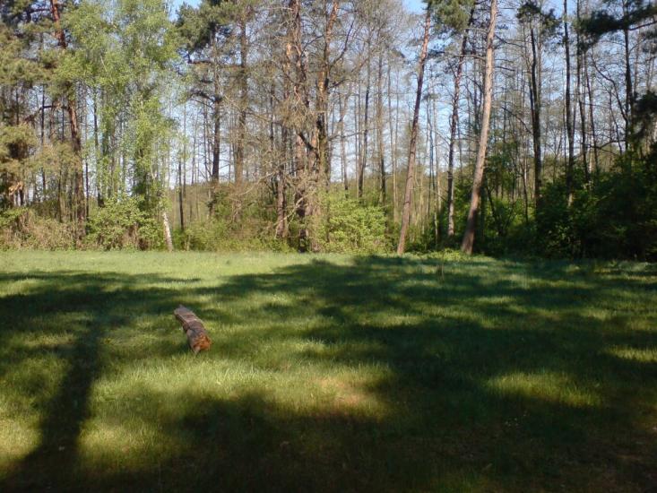 Малютянка з panoramio.com - Малютянка