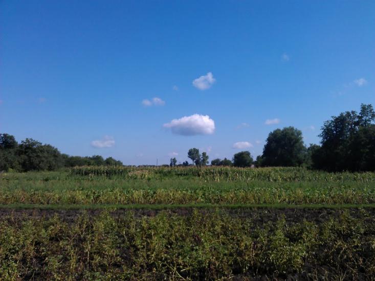 Щітки з panoramio.com - Щитки