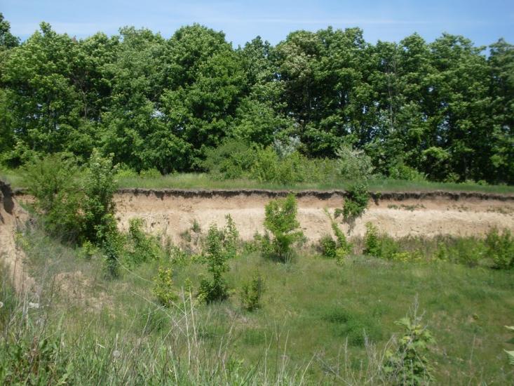 Куна з panoramio.com - Kuna