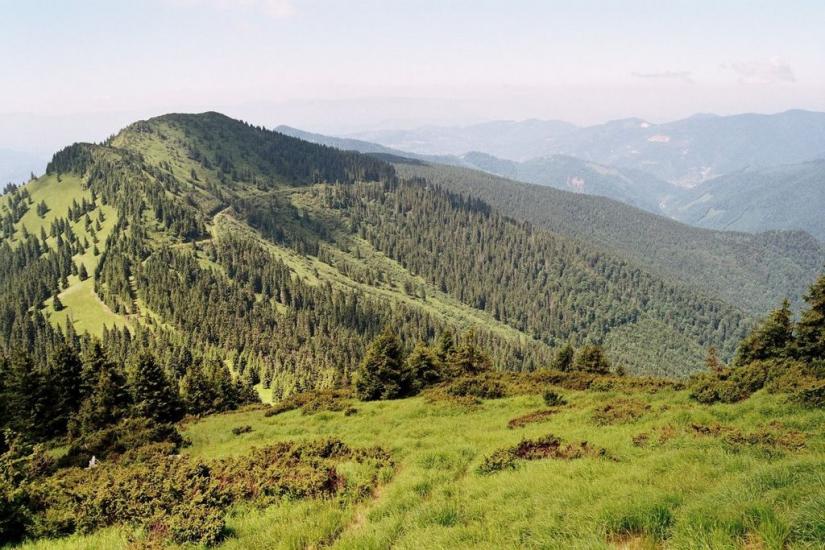 Костилівка з panoramio.com - Костылевка