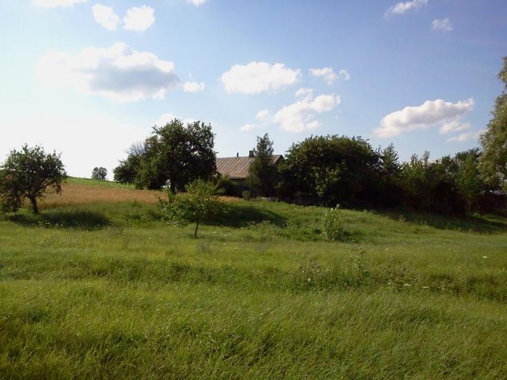 Всеволодівка з panoramio.com - Всеволодовка