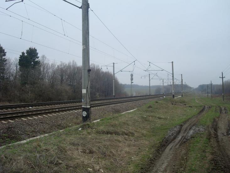 Стодульці з panoramio.com - Stodultsi