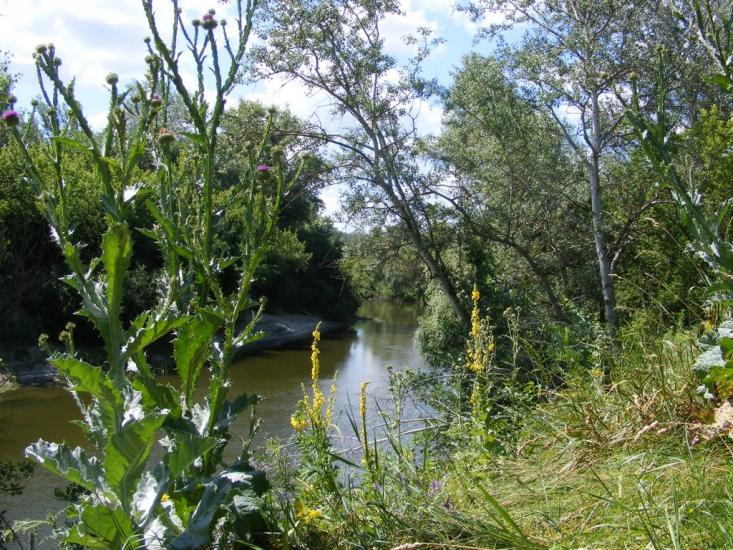 Юрки з panoramio.com - Юрки