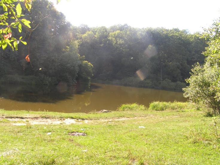 Питомник з panoramio.com - Питомник