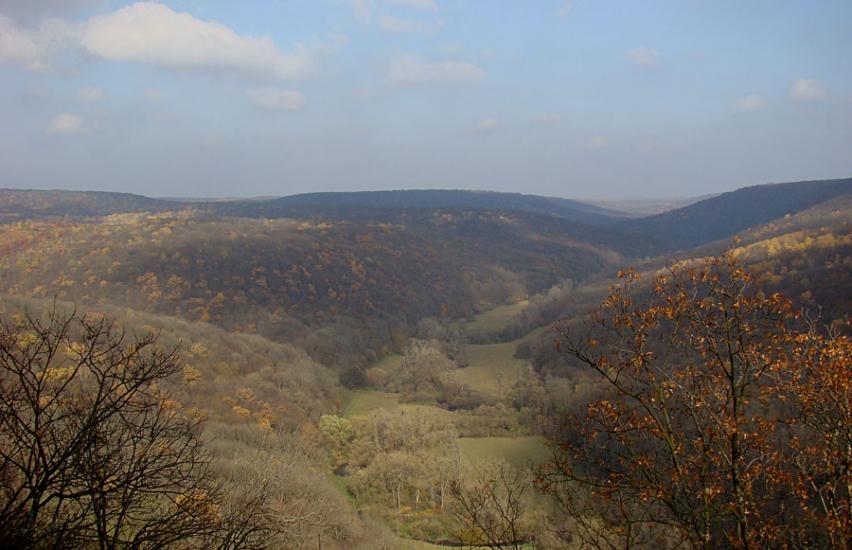 Іванківці з panoramio.com - Ivankivtsi