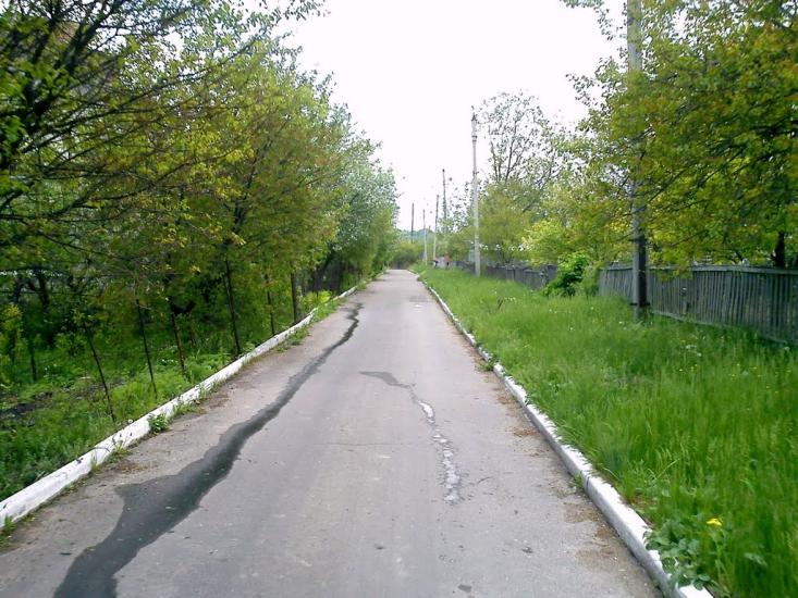 Донецьке з panoramio.com - Donetske