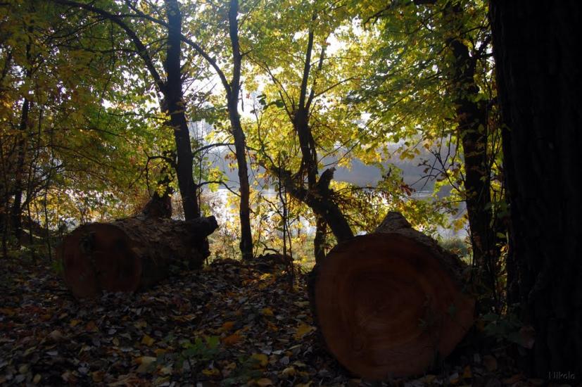 Привілля з panoramio.com - Приволье