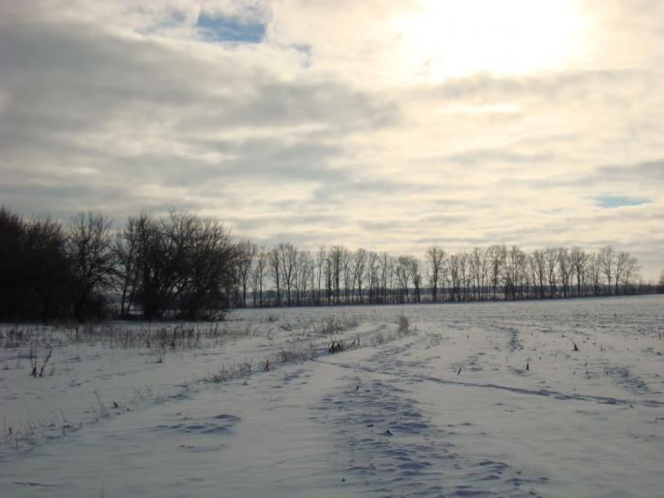 Воронівка з panoramio.com - Воронівка