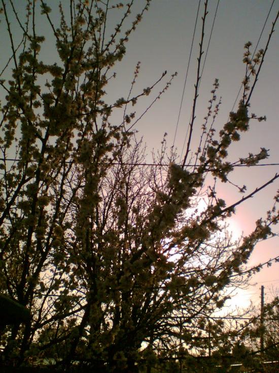 Дзержинське з panoramio.com - Дзержинське